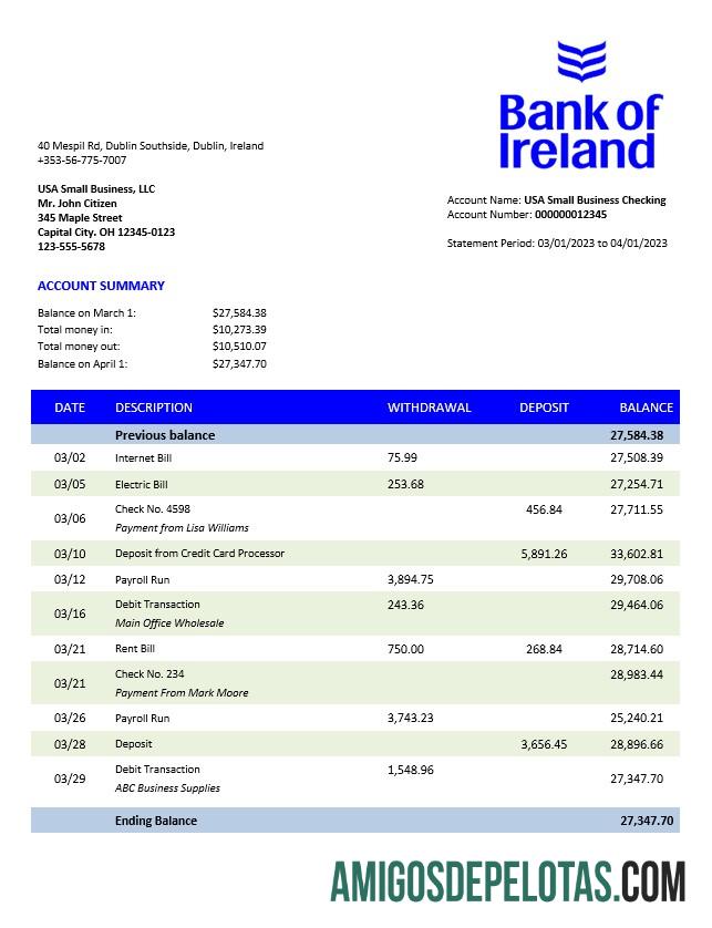 Em branco Modelo Word e PDF do Bank Of Ireland Enterprise Statement